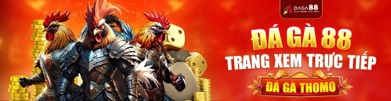 Hình ảnh giới thiệu i9bet141, nền tảng cá cược trực tuyến hàng đầu Việt Nam